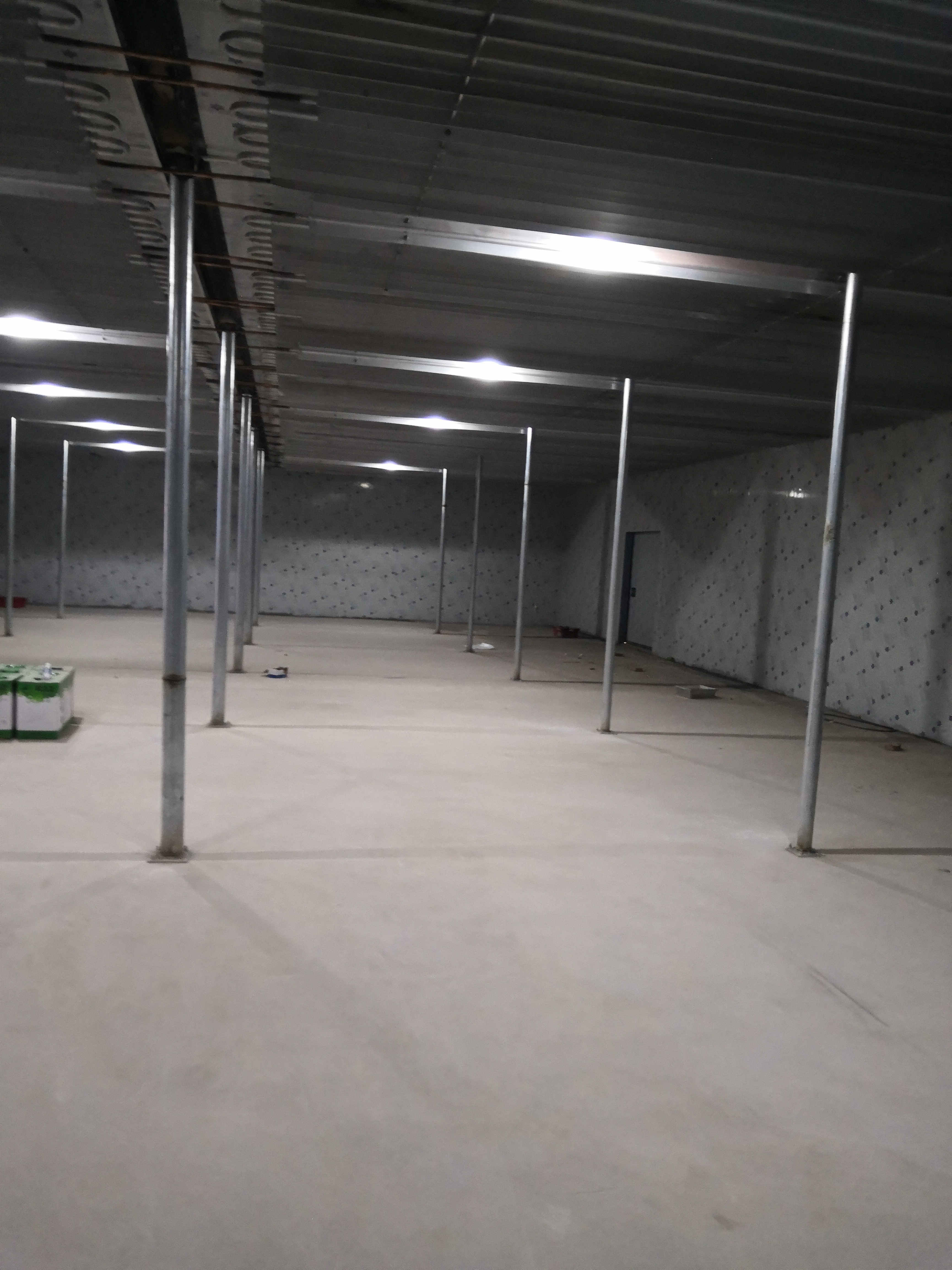 �X��������