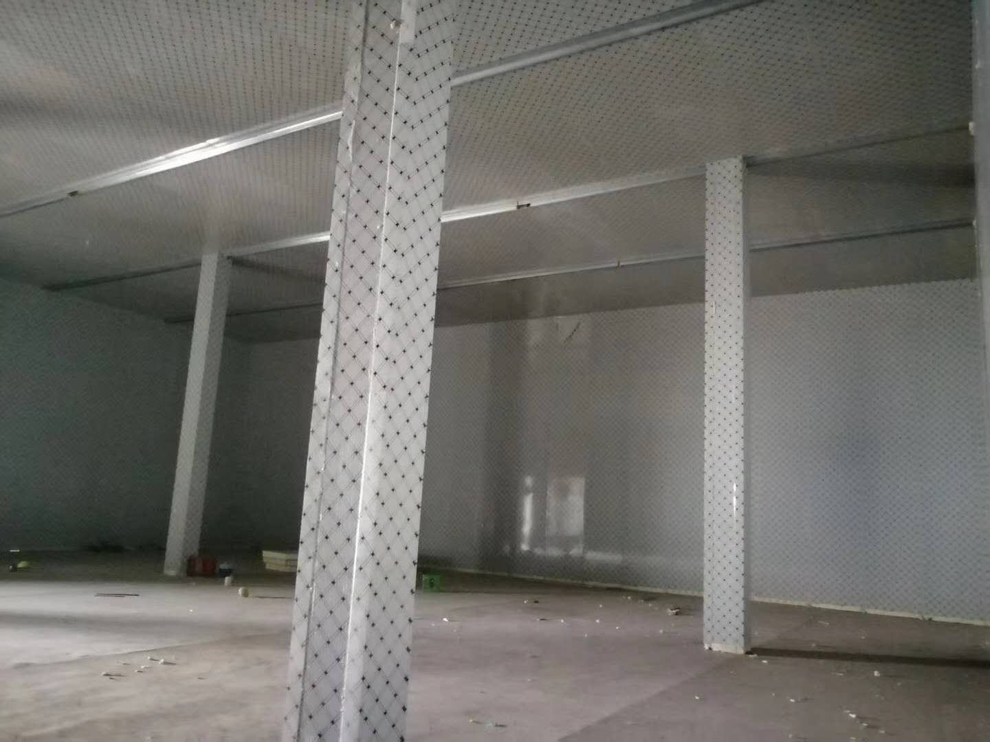 �X����� �����