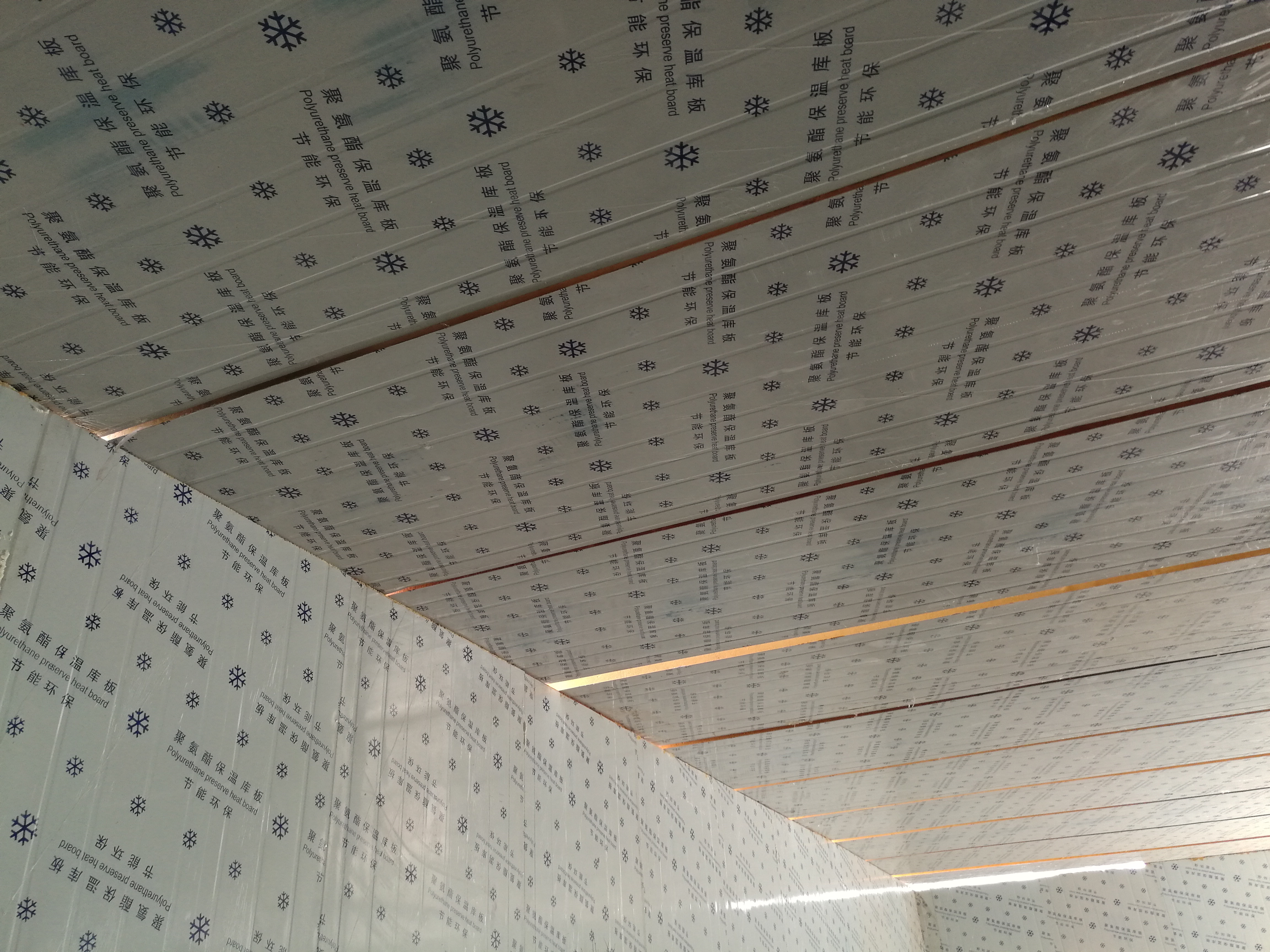 �۰����������