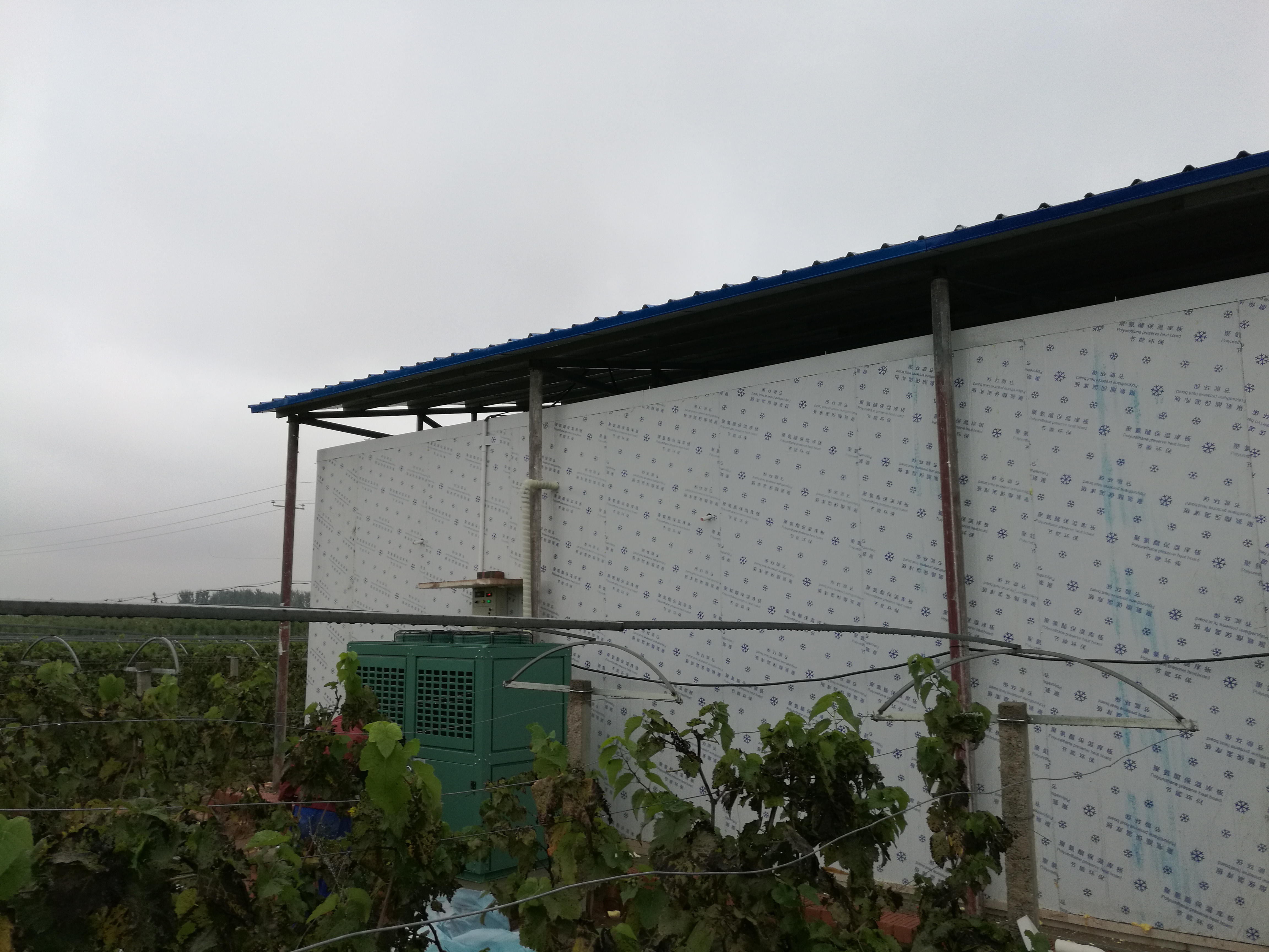 ����C�M�O���{(di��o)ԇ���