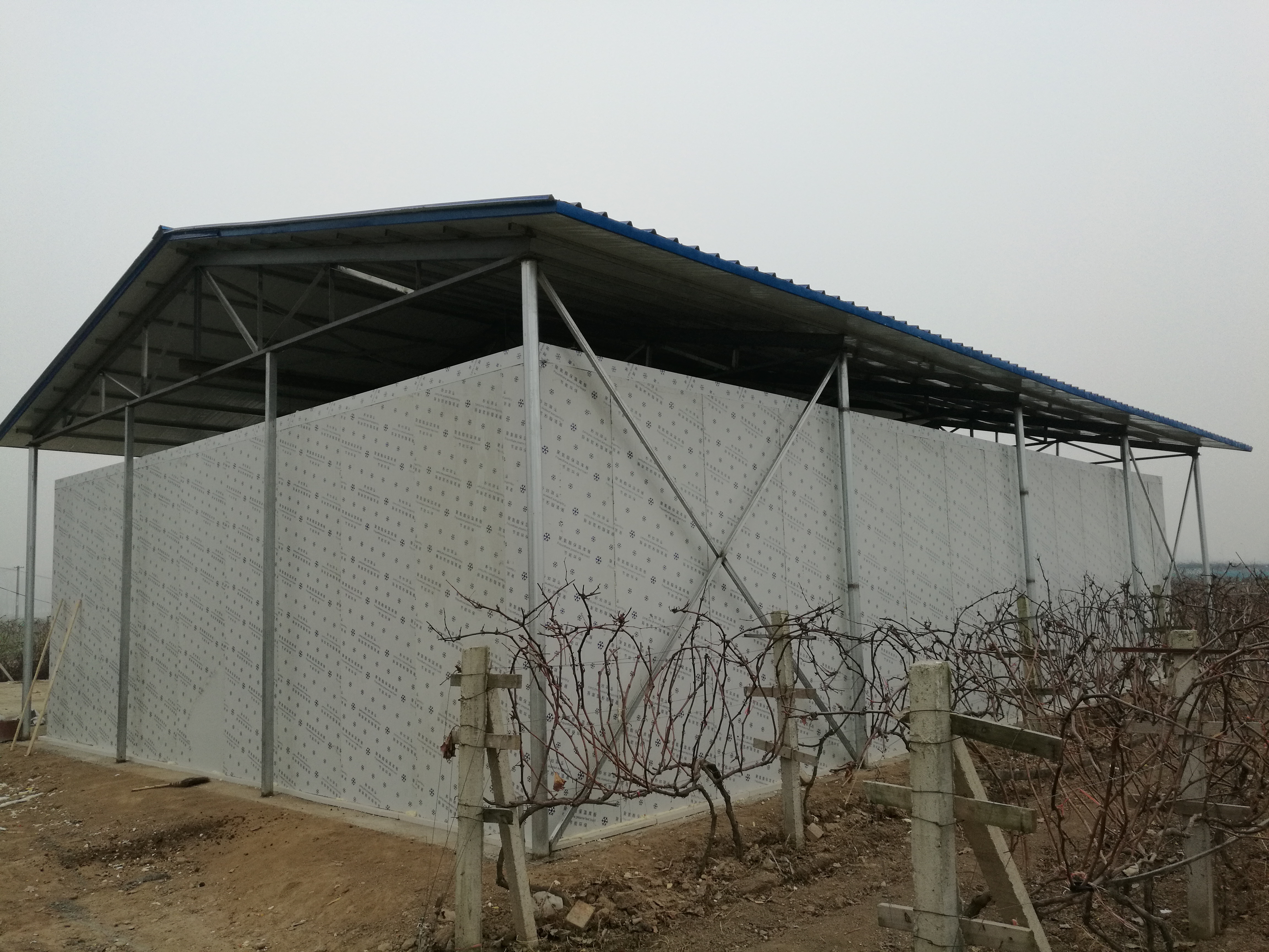 �ܿ��������ш@���