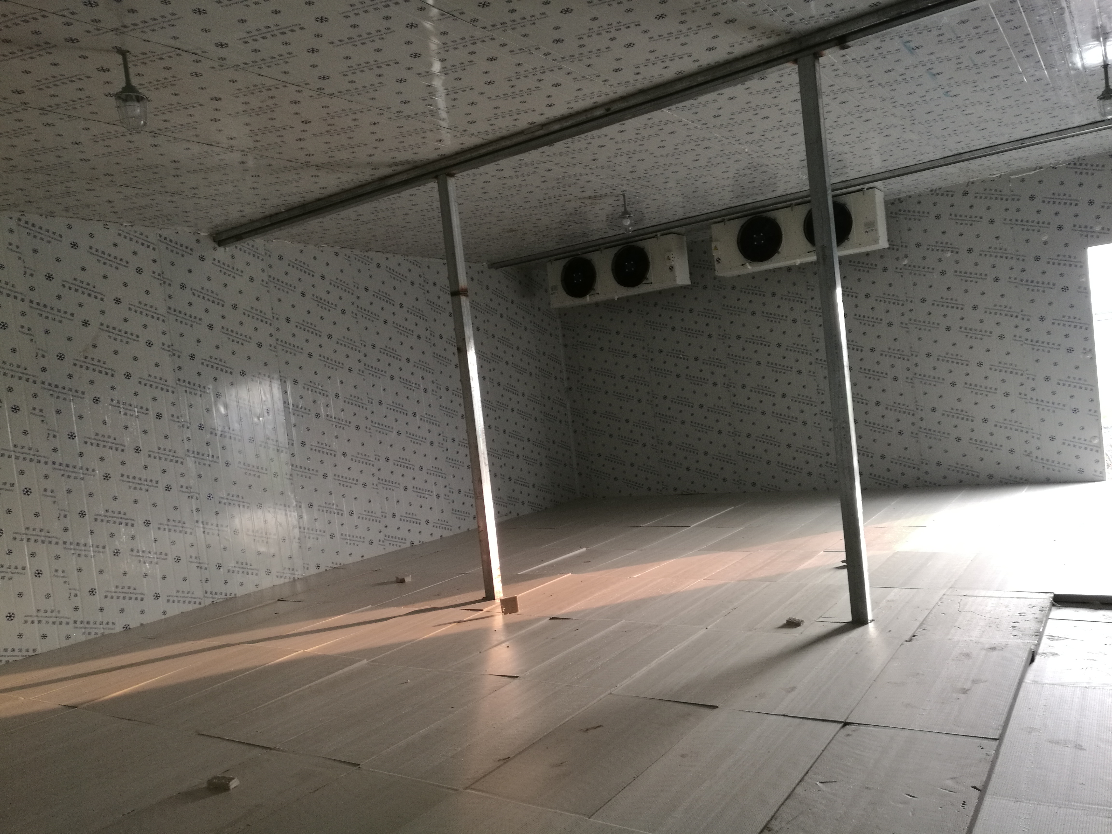 5cm�p���e�_��O