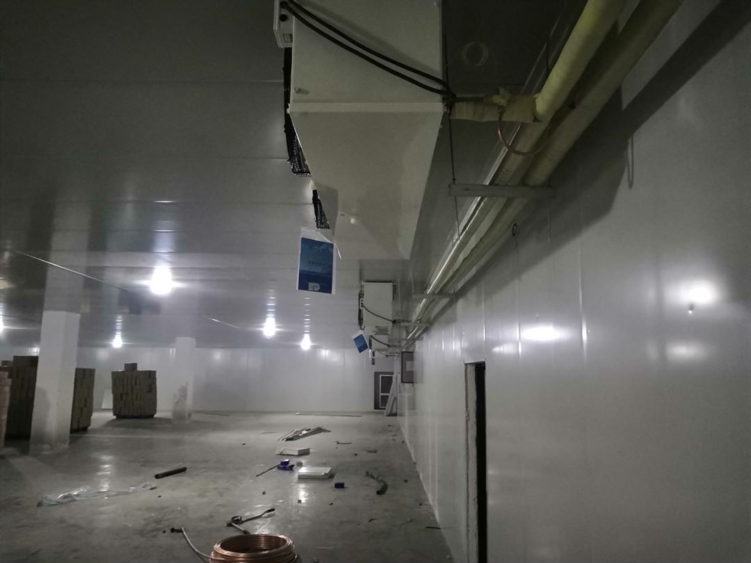 �_��܇�g���ر��r���