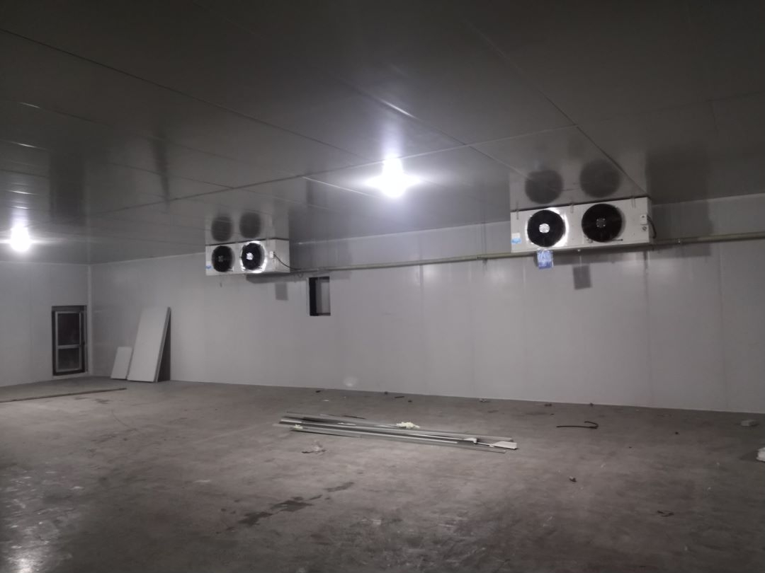 �_��܇�g���ر��r���