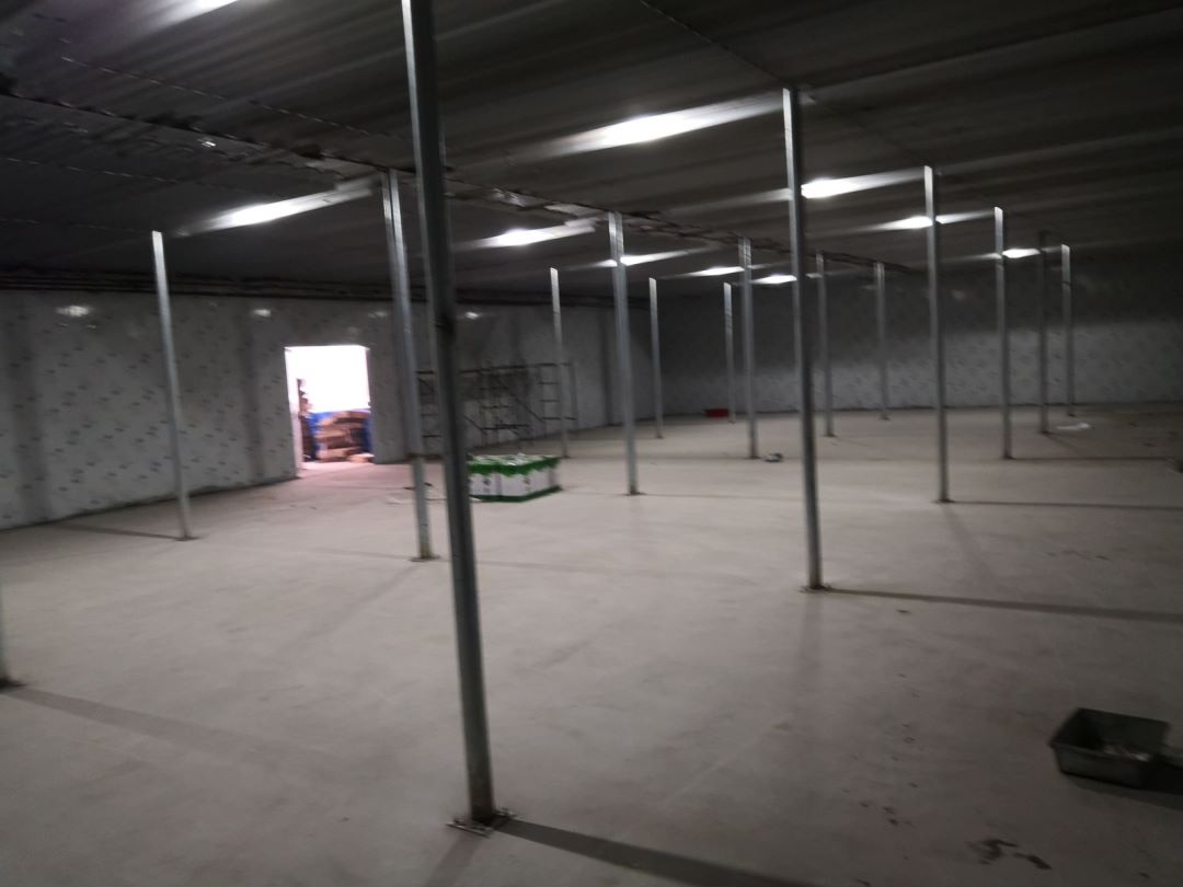 �X��������