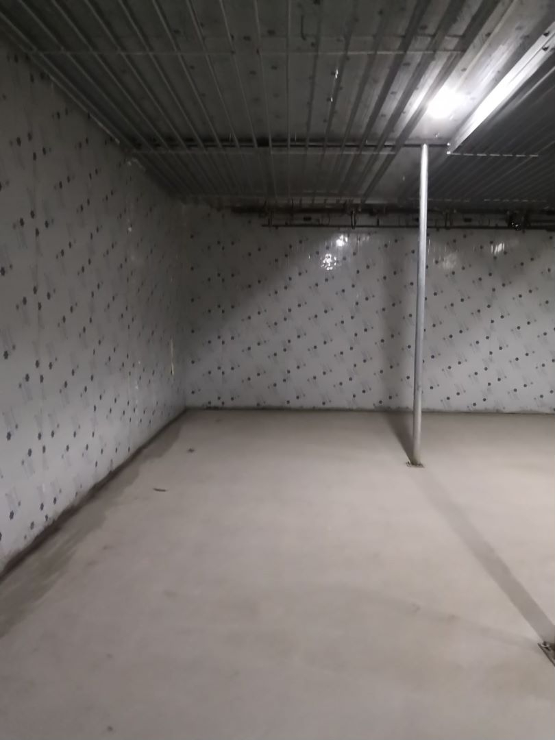 �X��������