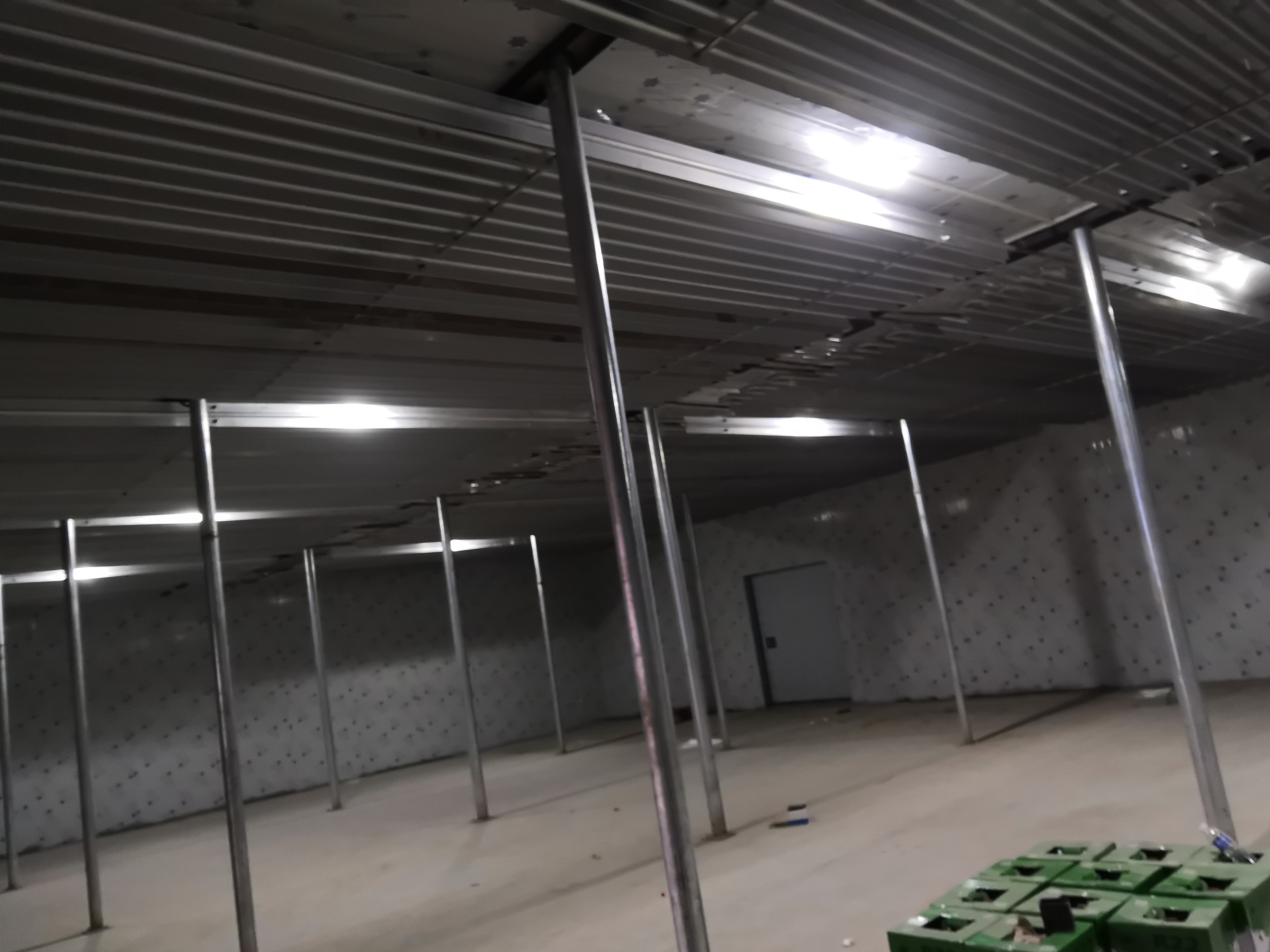 �X��������