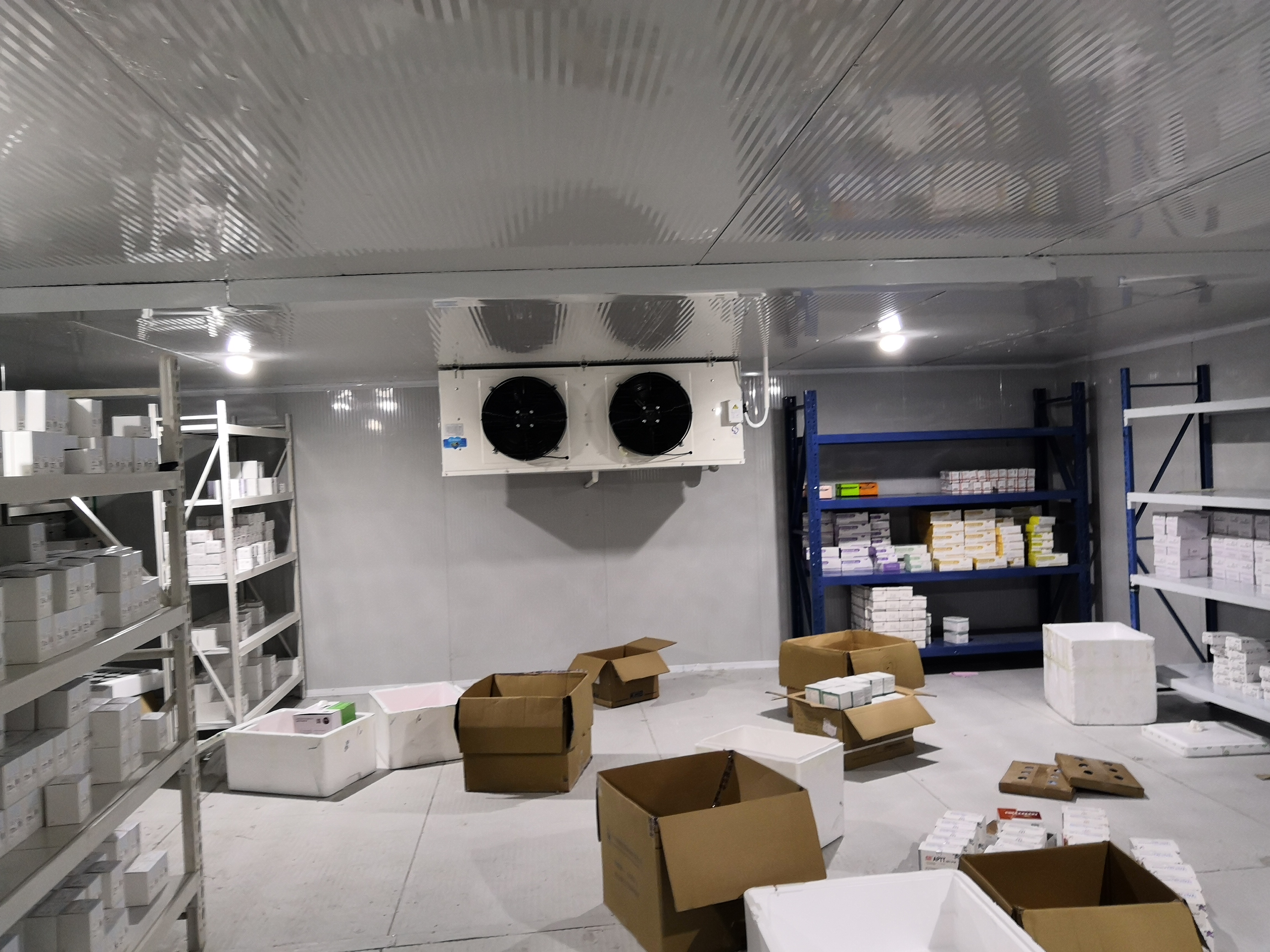 ����ˎƷ���