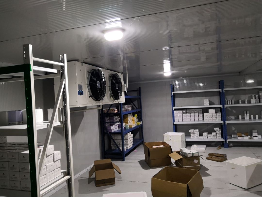 ����ˎƷ���