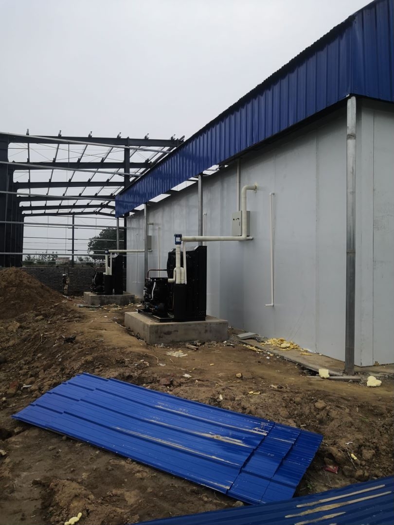 �������r��� 20ƥ�L������C�M