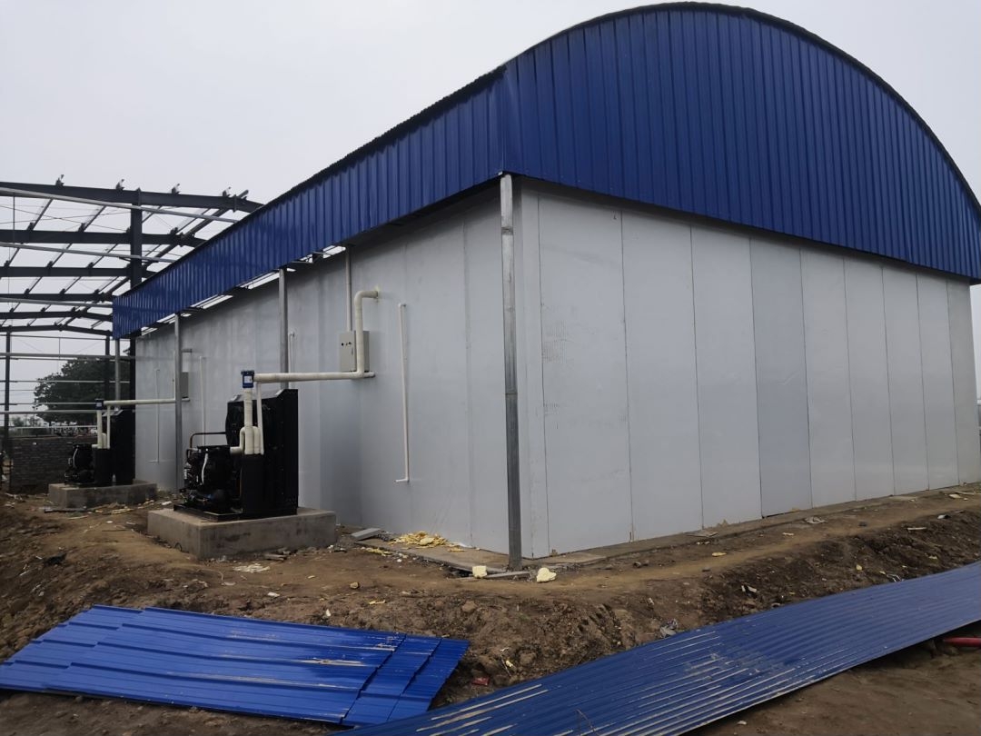 �������r��� 20ƥ�L������C�M