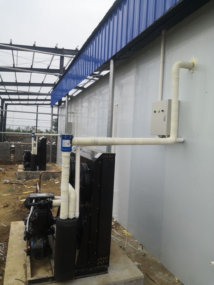 �������r��� 20ƥ�L������C�M